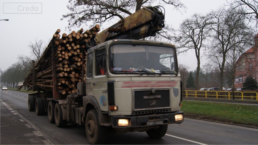 zdjecie do pytania - Czy wolno Ci przewozić dziecko powyżej 150 cm wzrostu na przednim siedzeniu w kabinie samochodu ciężarowego?